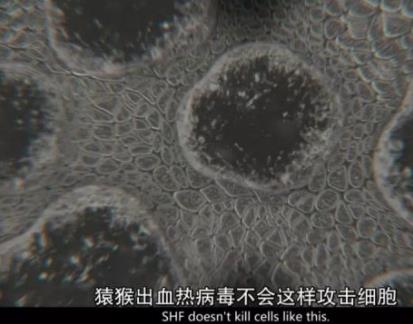 切尔诺贝利美剧合集解说,切尔诺贝利美剧解说第一集