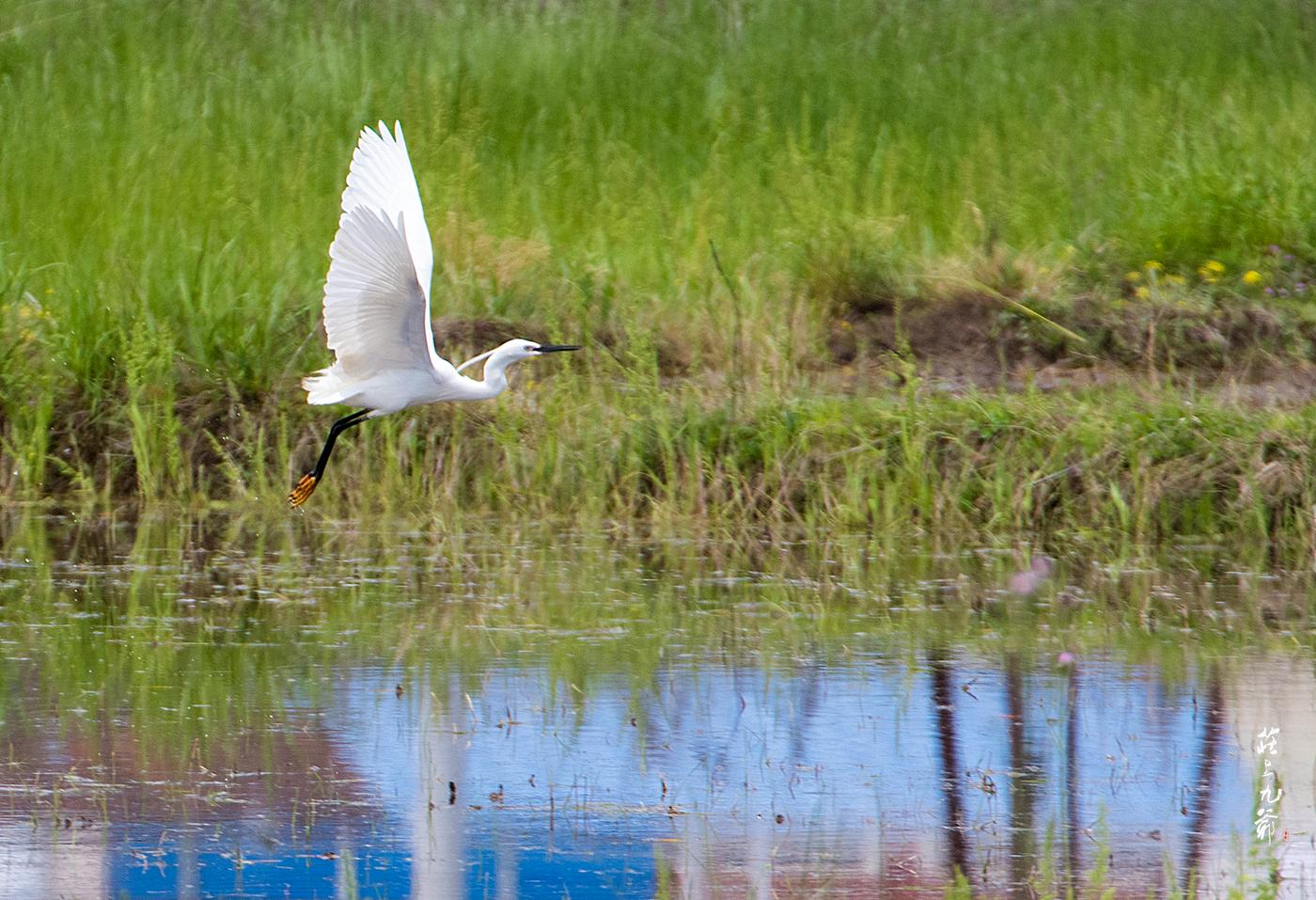 明朝留下来的水缸多少钱,明代的澡堂