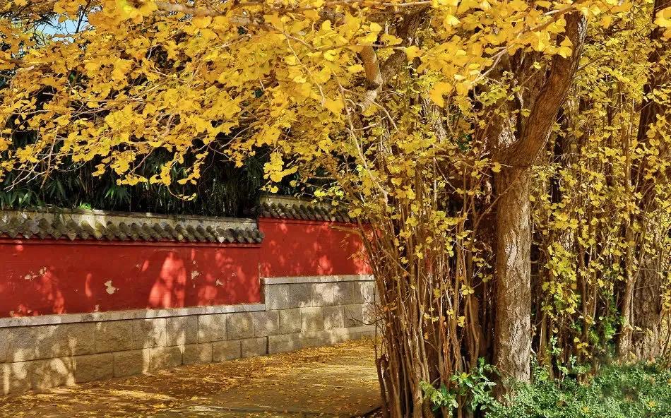 又一条最美自驾线路,又一条绝美进藏自驾公路