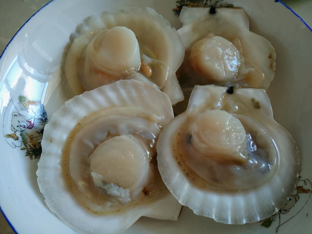 蒜蓉粉丝蒸扇贝做法扇贝怎么处理,已经蒸熟的扇贝能不能做蒜蓉扇贝