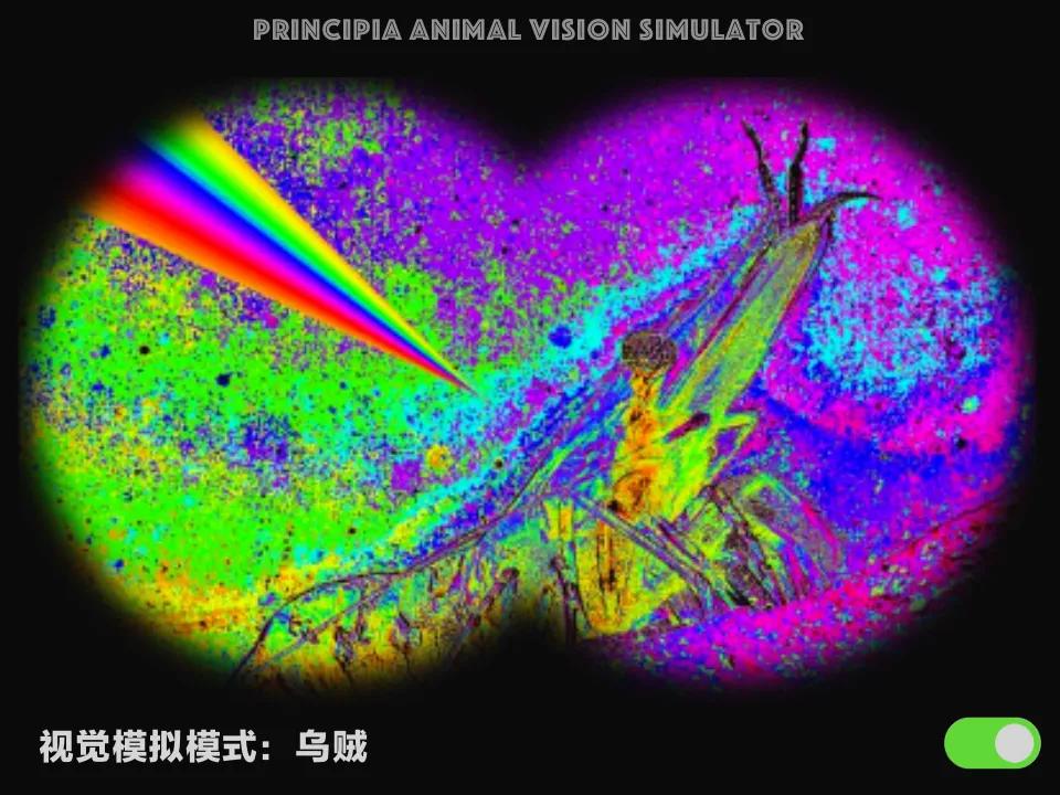 视觉软件exe,视觉模拟器