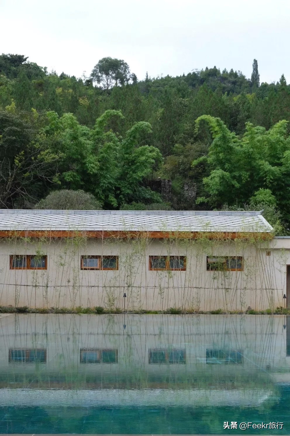 <html>
<head><title>502BadGateway</title></head>
<body>
<center><h1>502BadGateway</h1></center>
<hr><center>nginx</center>
</body>
</html>
<!--apaddingtodisableMSIEandChromefriendlyerrorpage-->
<!--apaddingtodisableMSIEandChromefriendlyerrorpage-->
<!--apaddingtodisableMSIEandChromefriendlyerrorpage-->
<!--apaddingtodisableMSIEandChromefriendlyerrorpage-->
<!--apaddingtodisableMSIEandChromefriendlyerrorpage-->
<!--apaddingtodisableMSIEandChromefriendlyerrorpage-->
