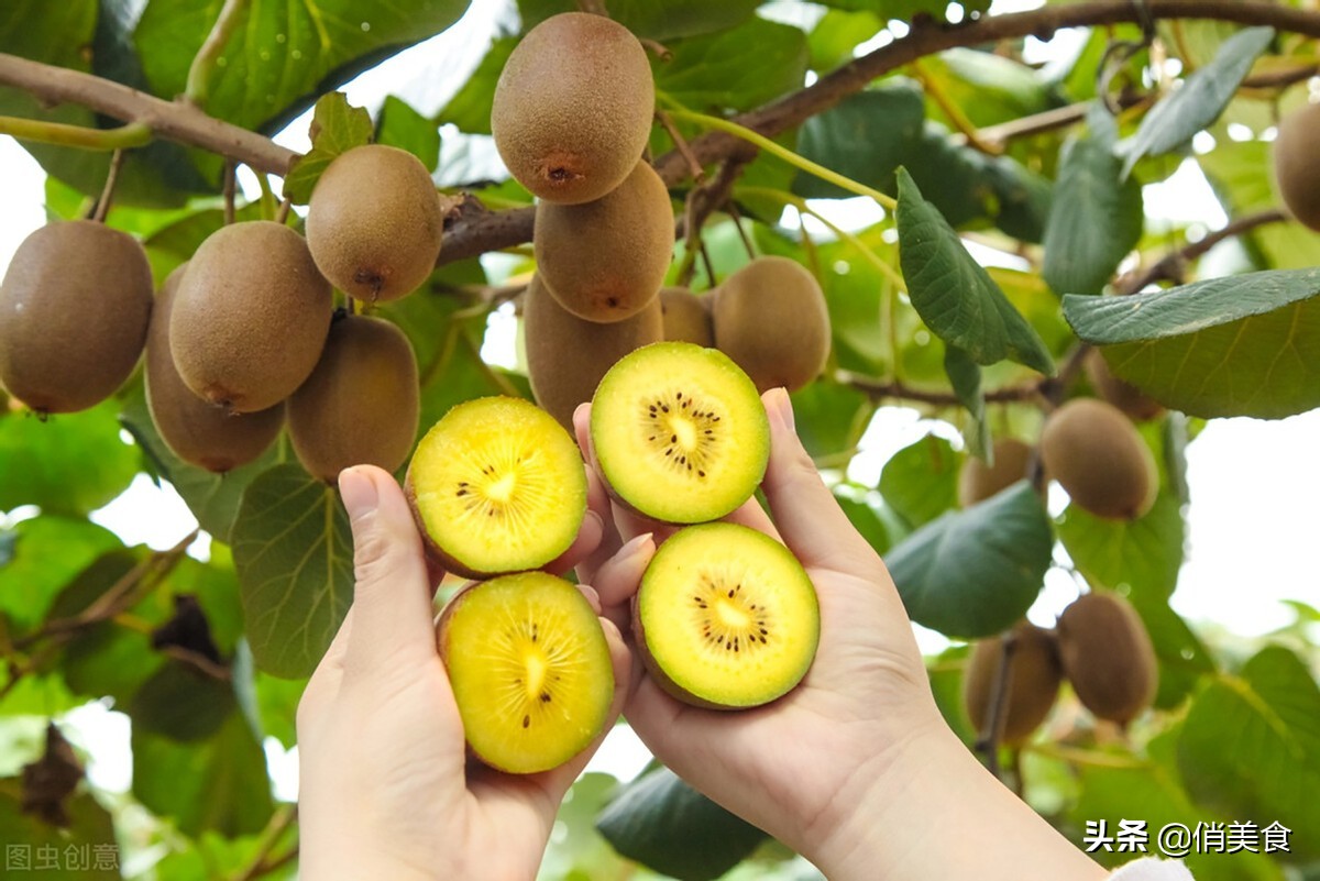 怎么样挑选好吃的水果小妙招,一招教你怎么挑到好吃的水果