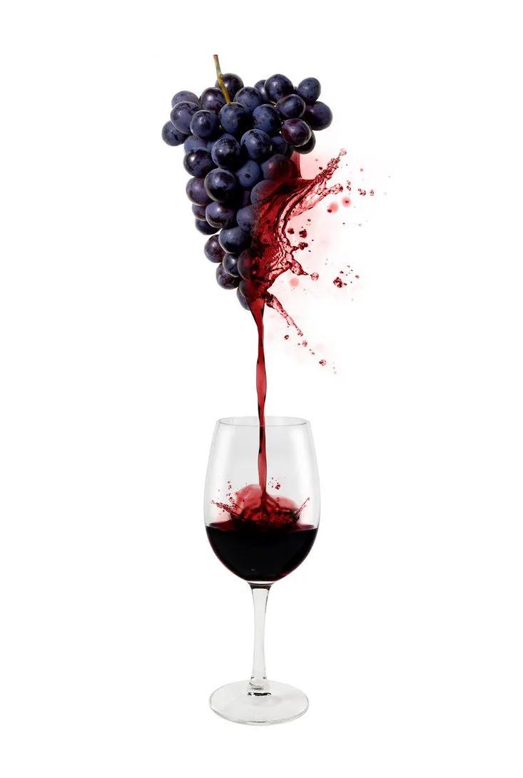 葡萄酒也不好喝呀,葡萄酒太苦根本喝不下去