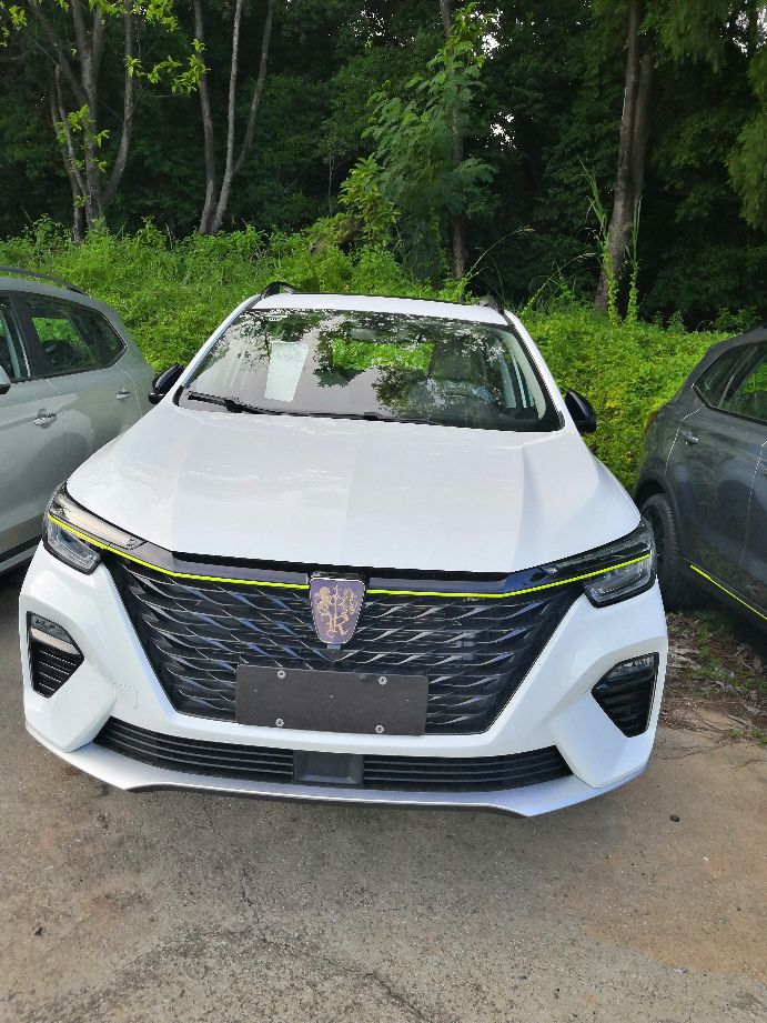 荣威干式双离合车主真实感受,荣威双离合湿式国潮型