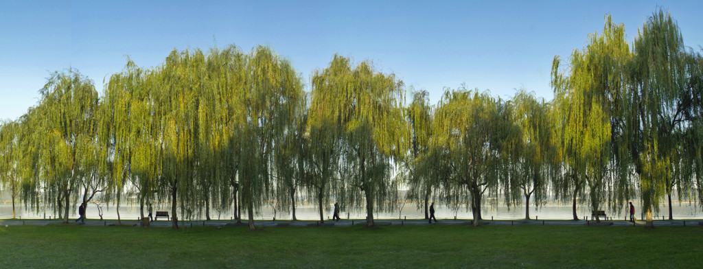 杭州西湖柳浪闻莺景区,杭州西湖柳浪闻莺历史简介