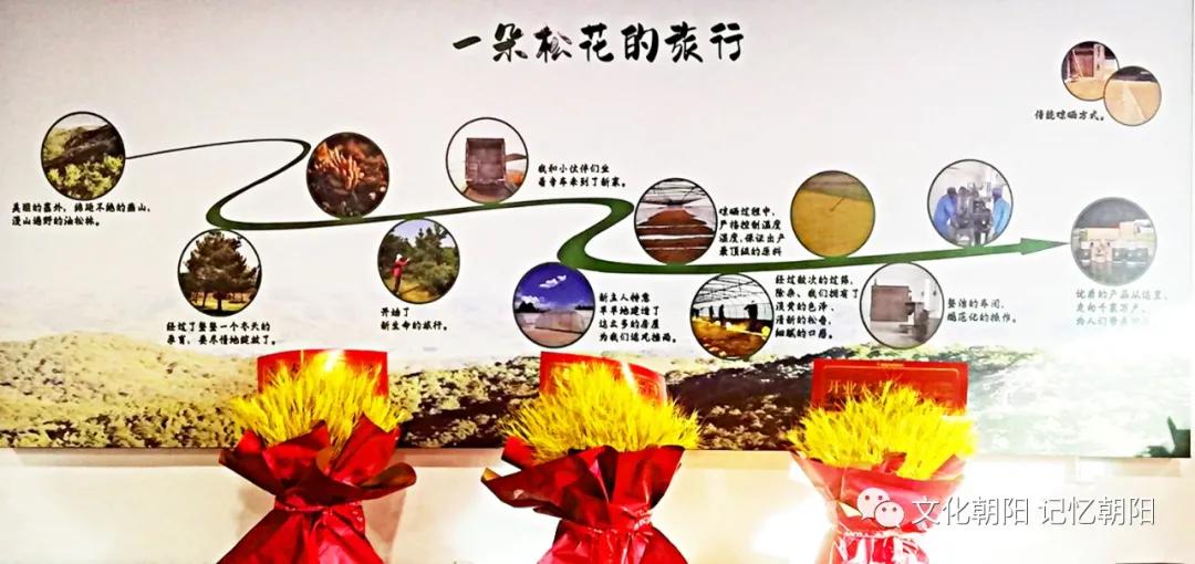 “塞上松”为锦绣之州锦上添花