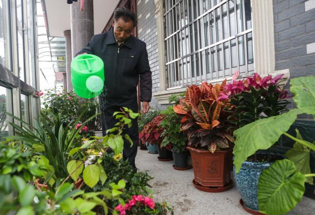 花草黄叶烂根怎么回事,养花草35年也不积水烂根黄叶