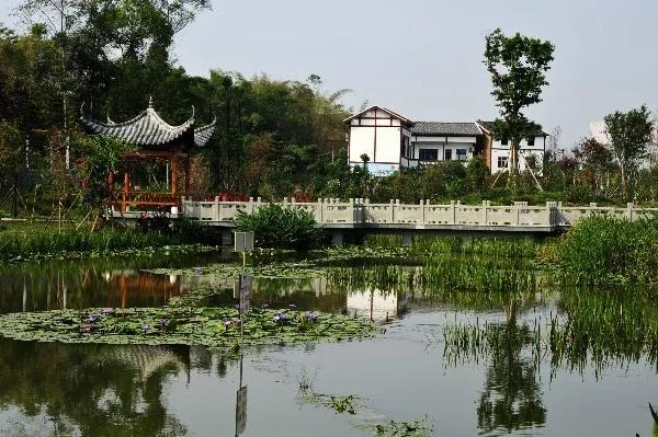 重庆科学城美景,重庆科学公园最新规划