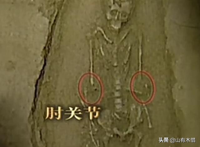 零口姑娘为什么会被处死,零口姑娘死亡之谜