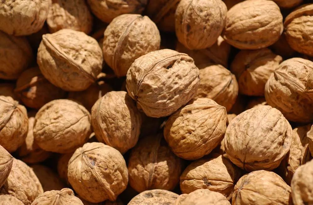 和田吃的特产有哪些,和田哪种干果最好吃