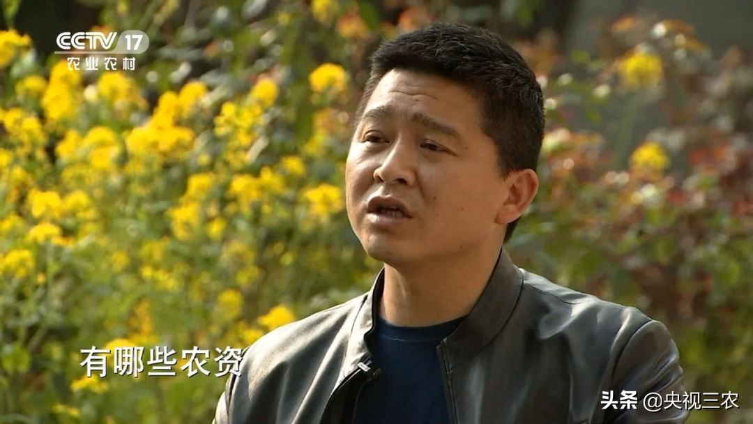 90后的湖北村支书,湖北最硬核村支书