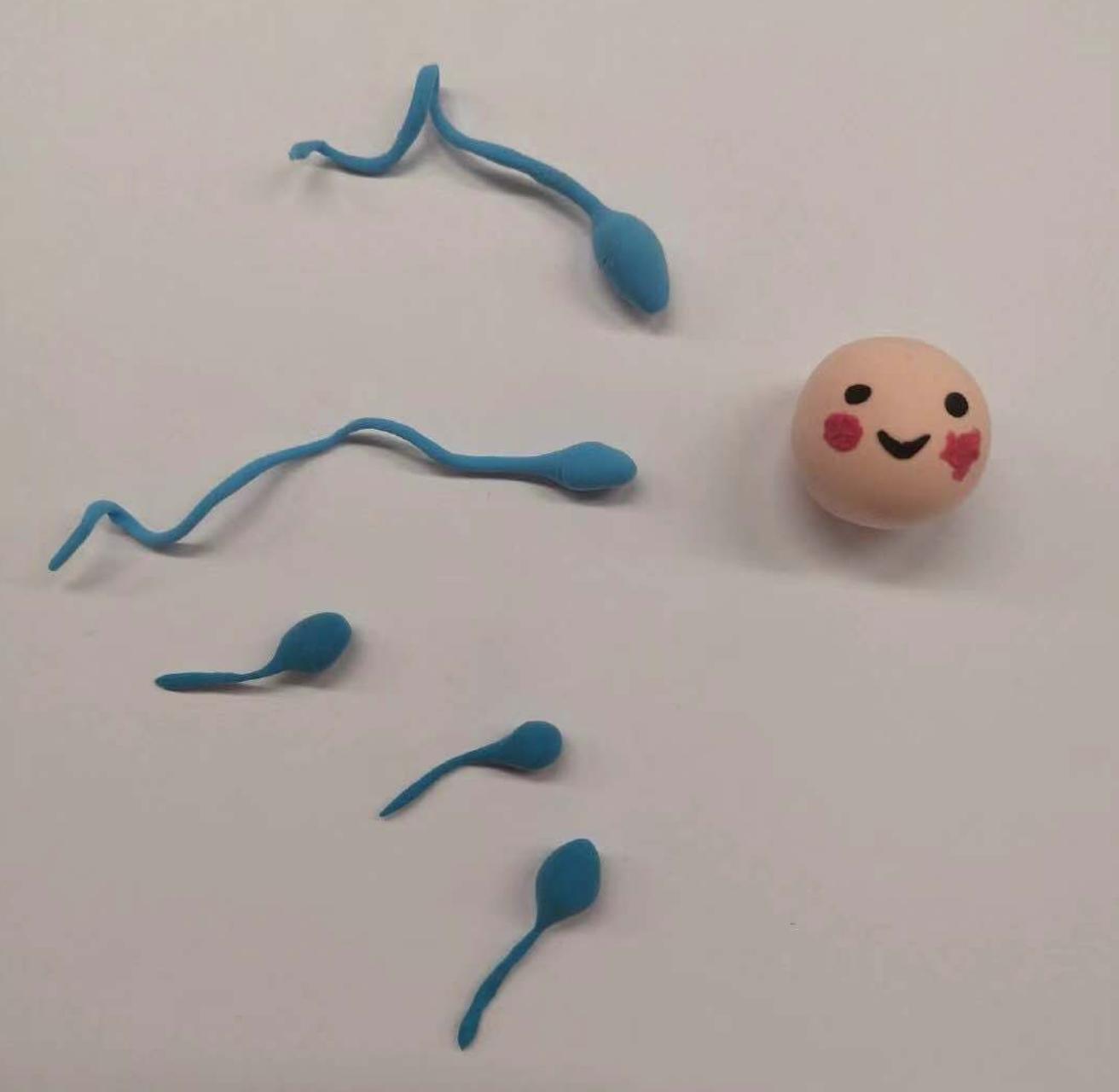 「辟谣」男性避孕凝胶简单省事效果好？生殖科医生摇摇头