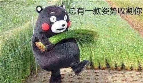 <html>
<head><title>502BadGateway</title></head>
<body>
<center><h1>502BadGateway</h1></center>
<hr><center>nginx</center>
</body>
</html>
<!--apaddingtodisableMSIEandChromefriendlyerrorpage-->
<!--apaddingtodisableMSIEandChromefriendlyerrorpage-->
<!--apaddingtodisableMSIEandChromefriendlyerrorpage-->
<!--apaddingtodisableMSIEandChromefriendlyerrorpage-->
<!--apaddingtodisableMSIEandChromefriendlyerrorpage-->
<!--apaddingtodisableMSIEandChromefriendlyerrorpage-->
