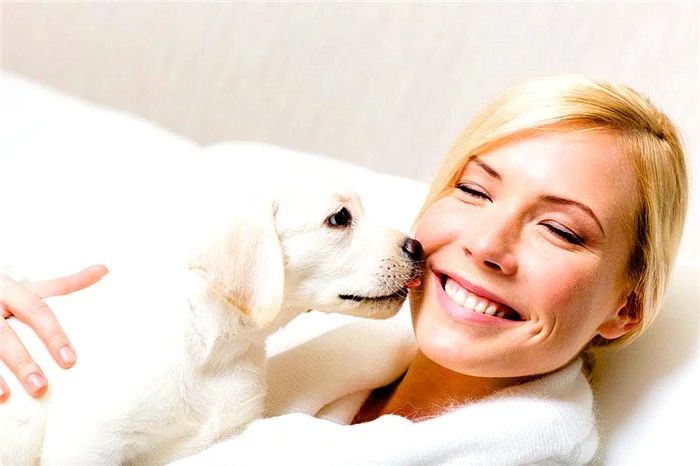 鐙楃嫍浜蹭富浜烘槸涓嶆槸鐙楃嫍鍠滄涓讳汉,鐙楃嫍浜蹭富浜烘槸鍦ㄨ〃杈剧埍鎰忓悧