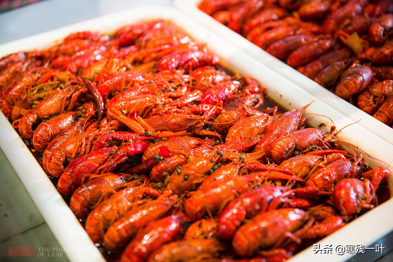 上海小龙虾自助15种口味,只要69元就可以随便吃小龙虾