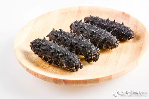 营养师鲜食海参,海参营养师