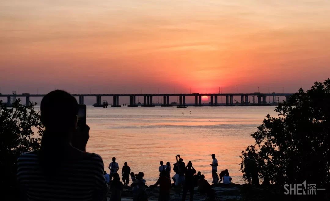 坐11号线去深圳看海,11号线碧海湾看海