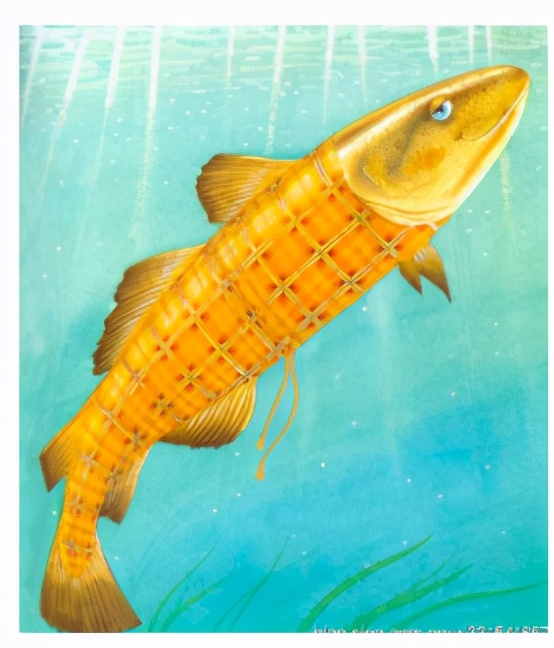 经典绘本我爸爸,我爸爸绘本视频