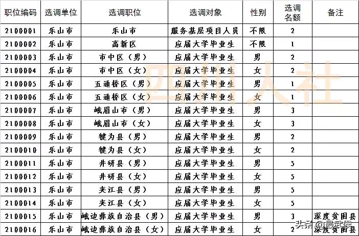 四川选调生2024公告职位表,四川选调生2024选调公告条件