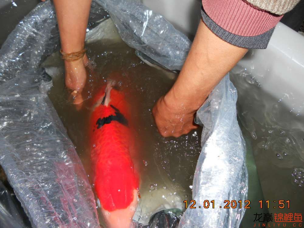 开渔场赚钱吗,开渔场需要多少资金