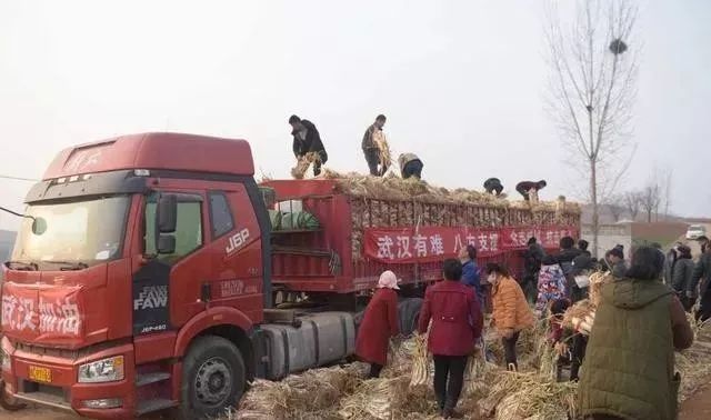 疫情面前，如果你熬不下去了，请看看他们…...