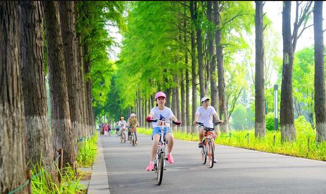 武汉外语外事职业学院旅游,武汉外语外事职业学院落雁湖