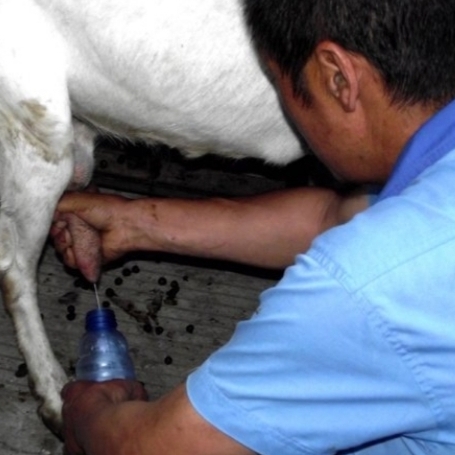 老张头退休生活,老张头和赵铁匠