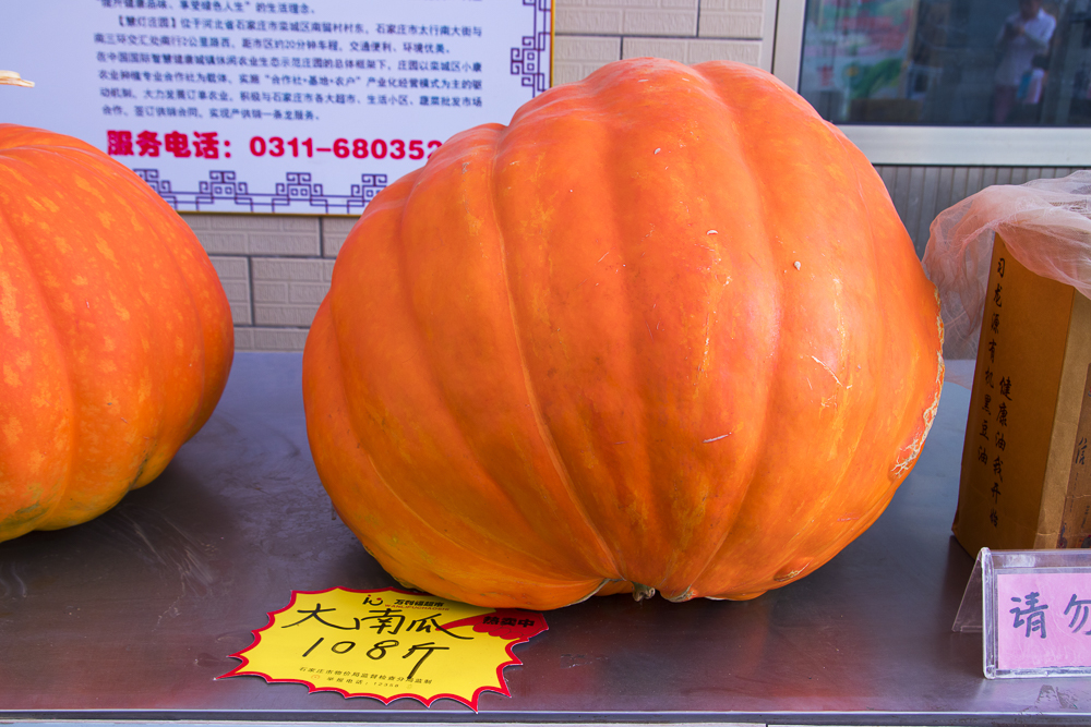 #毕业旅行啦#石家庄慧灯庄园，夏日里寓教于乐爽歪歪