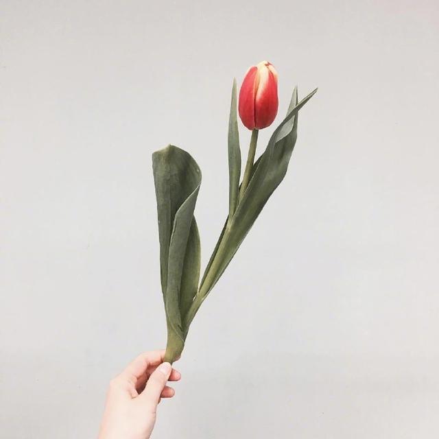 几句让你瞬间成长的句子,真正让你成长的语录