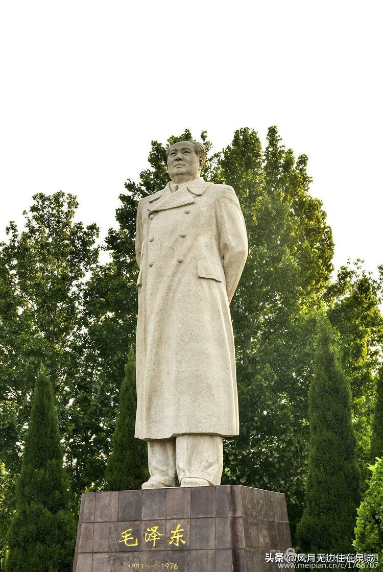 济南秋天的法国梧桐,济南一颗梧桐树