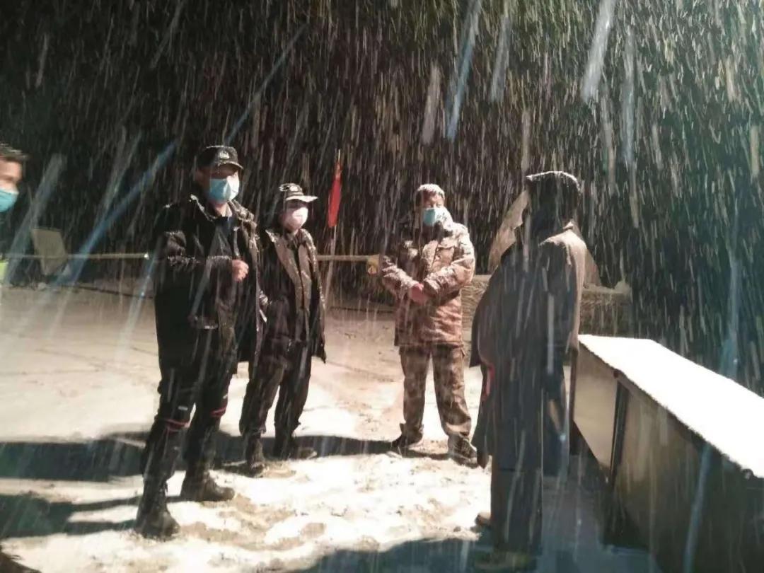 战疫的磅礴力量有哪些,战疫场上不可或缺的力量