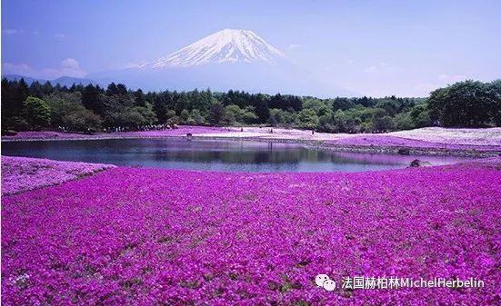 让男生无法抗拒香水 (有哪些让人抗拒不了的香水)