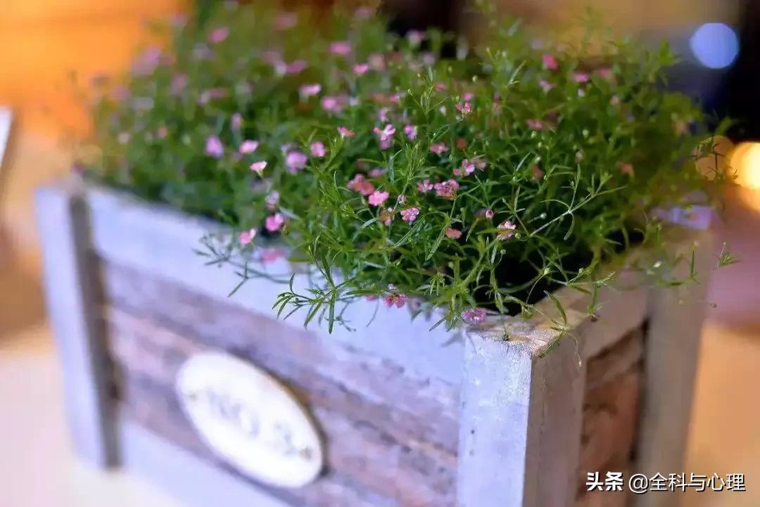 适合发朋友圈正能量短句心灵鸡汤,心灵鸡汤的正能量句子短句