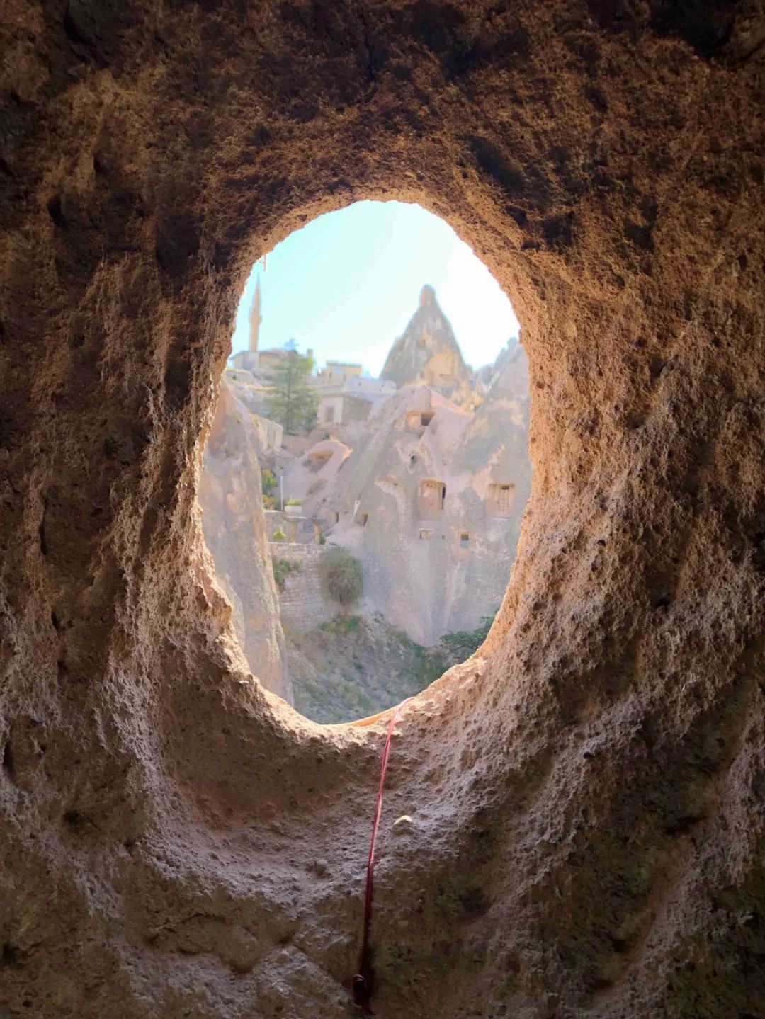 外星人有哪些卡欧斯形态,外星人的球星卡