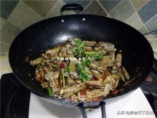 如何让蛏子吐沙又快又干净,如何让蛏子吐沙子