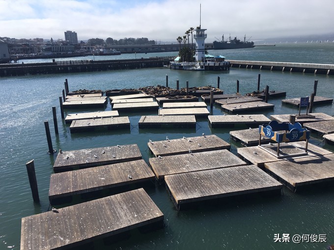 澳门渔人码头周边网红打卡地,旧金山渔人码头唐人街华人老照片