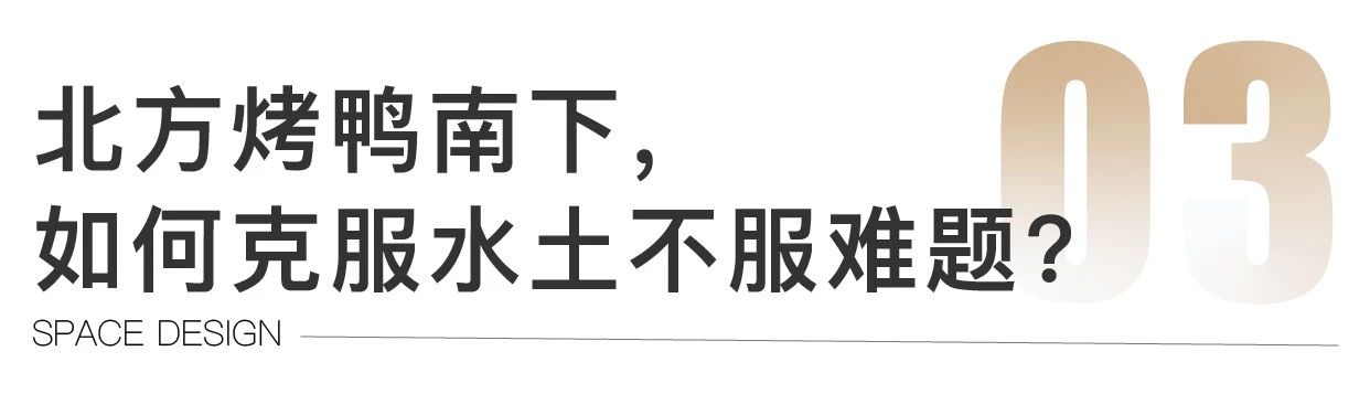 经典案例|董小婉、谭福锅、卢家妈妈……如何炼成爆红品牌？
