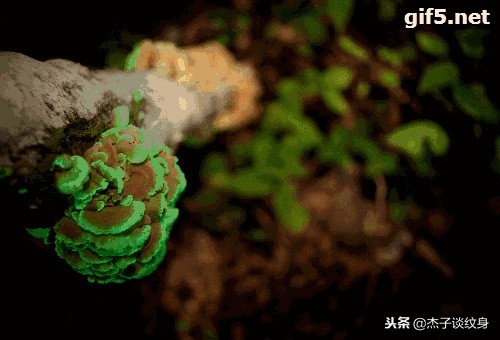 最新流行的特别的纹身,好看又有意思的纹身