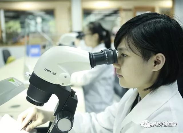 台湾米糊企业向湖北宝宝免费赠送30天米糊