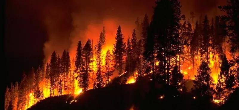 男子在山上烧烤引起大火被抓,上饶男子放火案