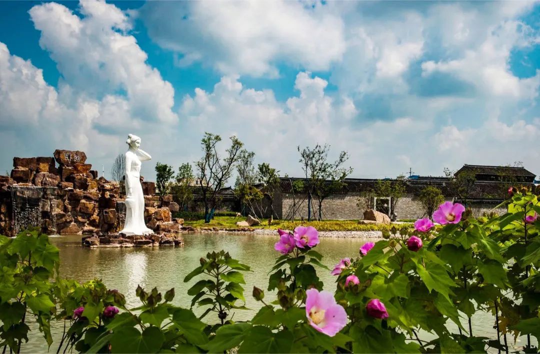 洋河大曲值得收藏的是哪款酒,洋河大曲最值得收藏的酒