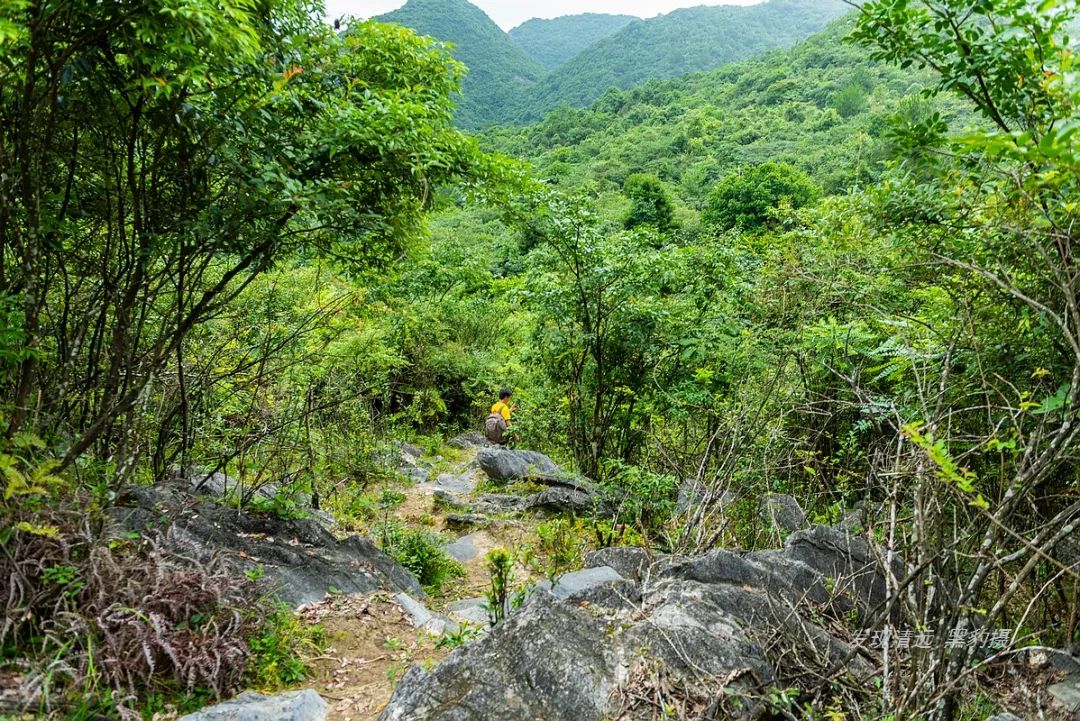 徒步穿越秦岭无人区,徒步穿越喀斯特森林