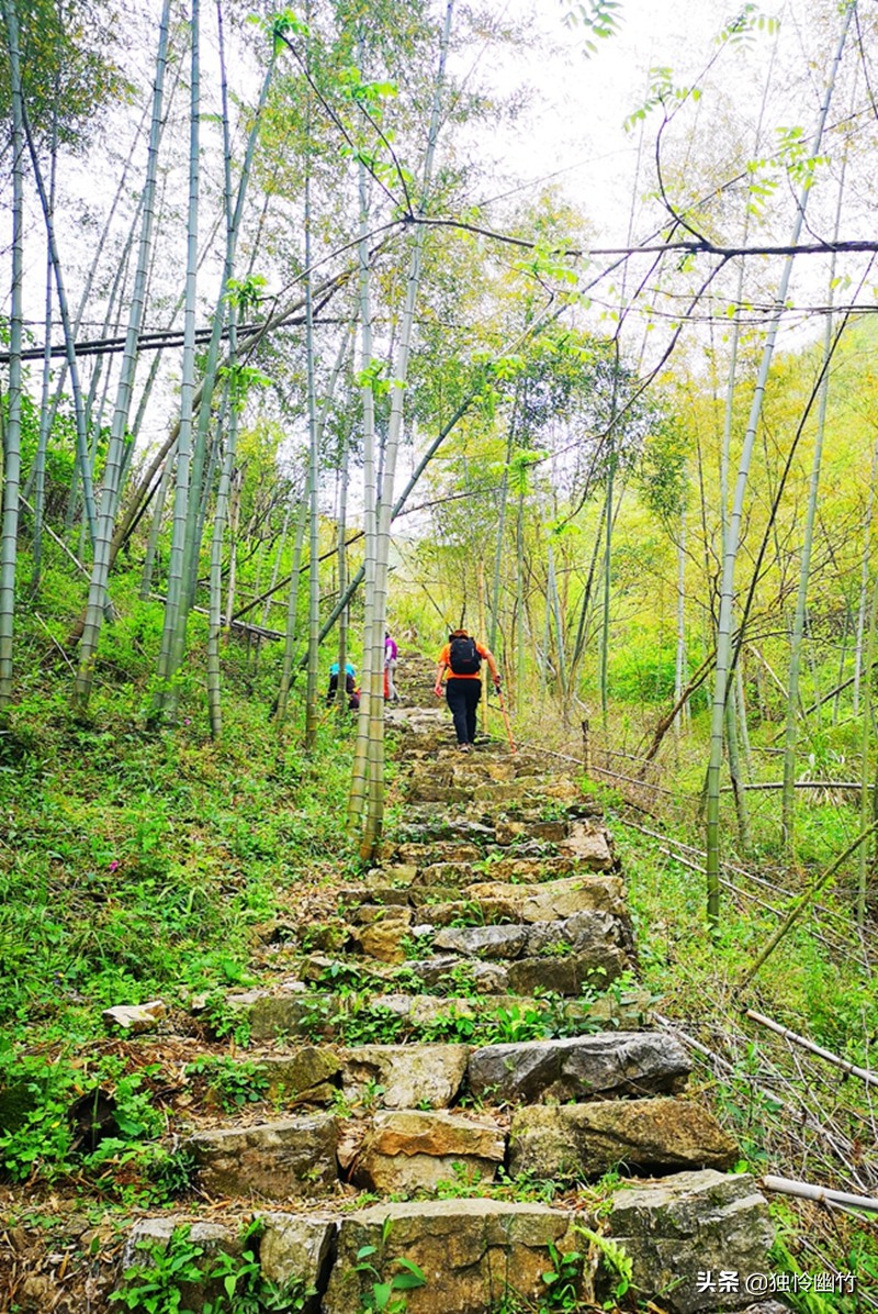 分享摄影爱好者的视频,学摄影如何少走弯路