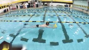 轻松游自由泳技巧,自由泳进阶竞速自由泳的技巧