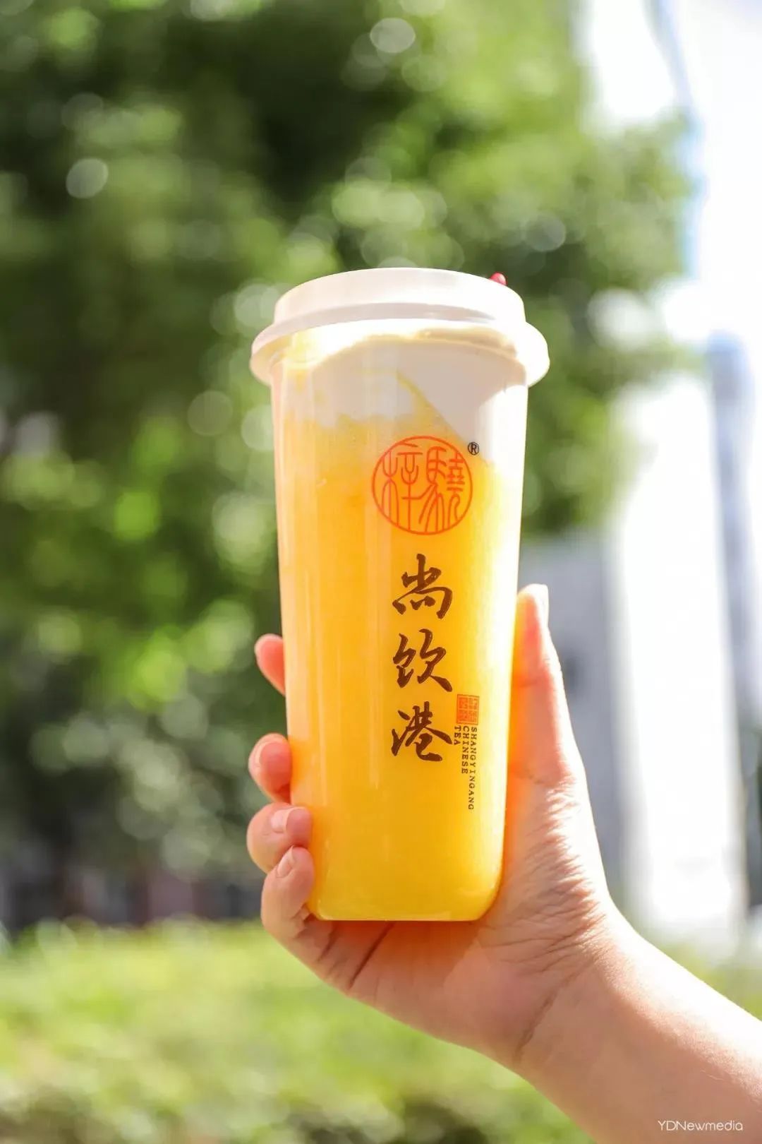 浠庢姹夋斁鍋囧洖瀹剁殑瀛︾敓,浠庢姹夊洖鏉ョ殑澶у鐢熶滑