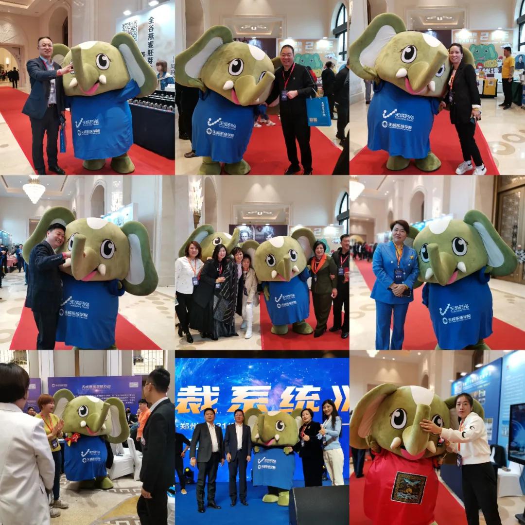 嗨翻现场！河南萌物大象奔奔受邀参加天成总裁系统培训会