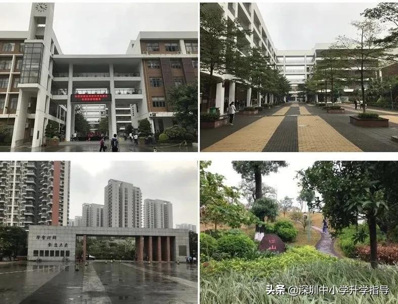 广东2021高考445分,2021年广东高考理科412分专科批