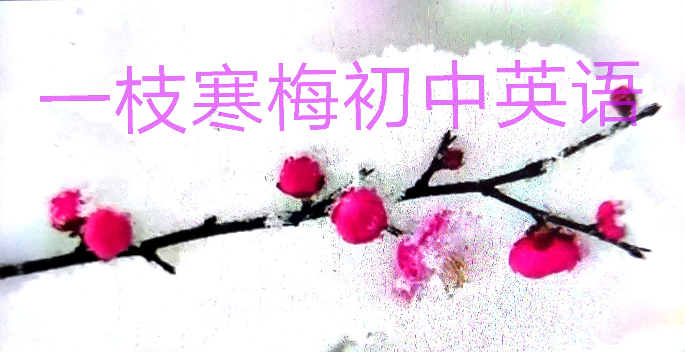 初中必背英语1500词,初中英语1600词快速记忆法