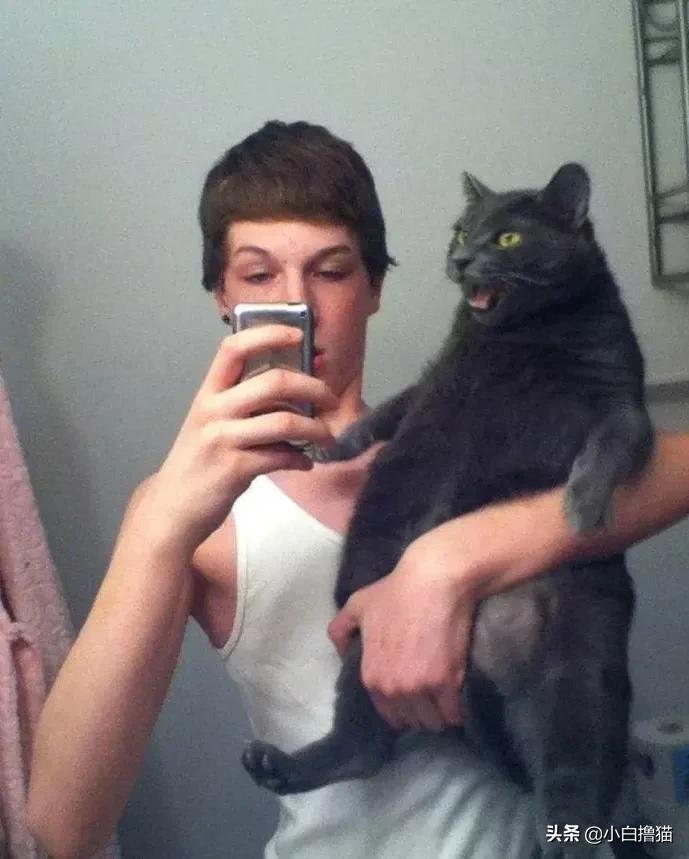 不要随便亲猫的后果,强行亲猫